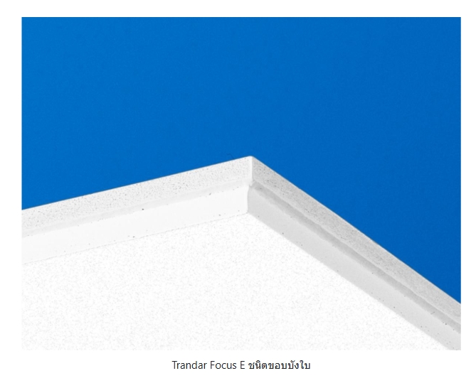 Image for Trandar Focus E