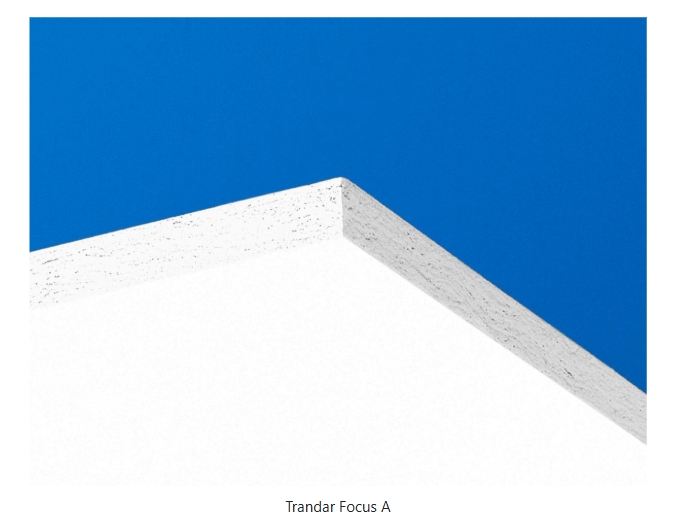 Image for Trandar Focus A
