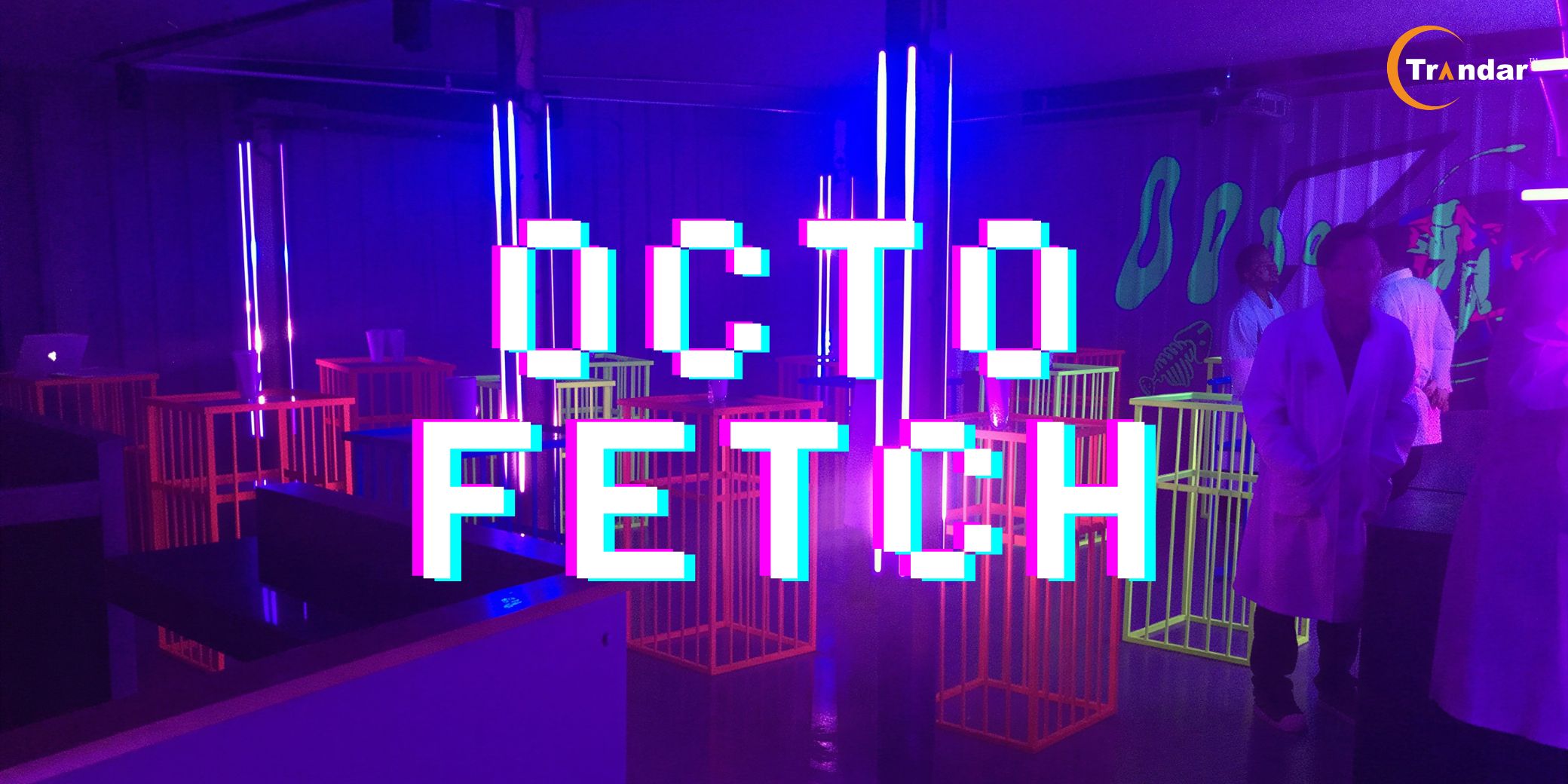 Octo Fetch