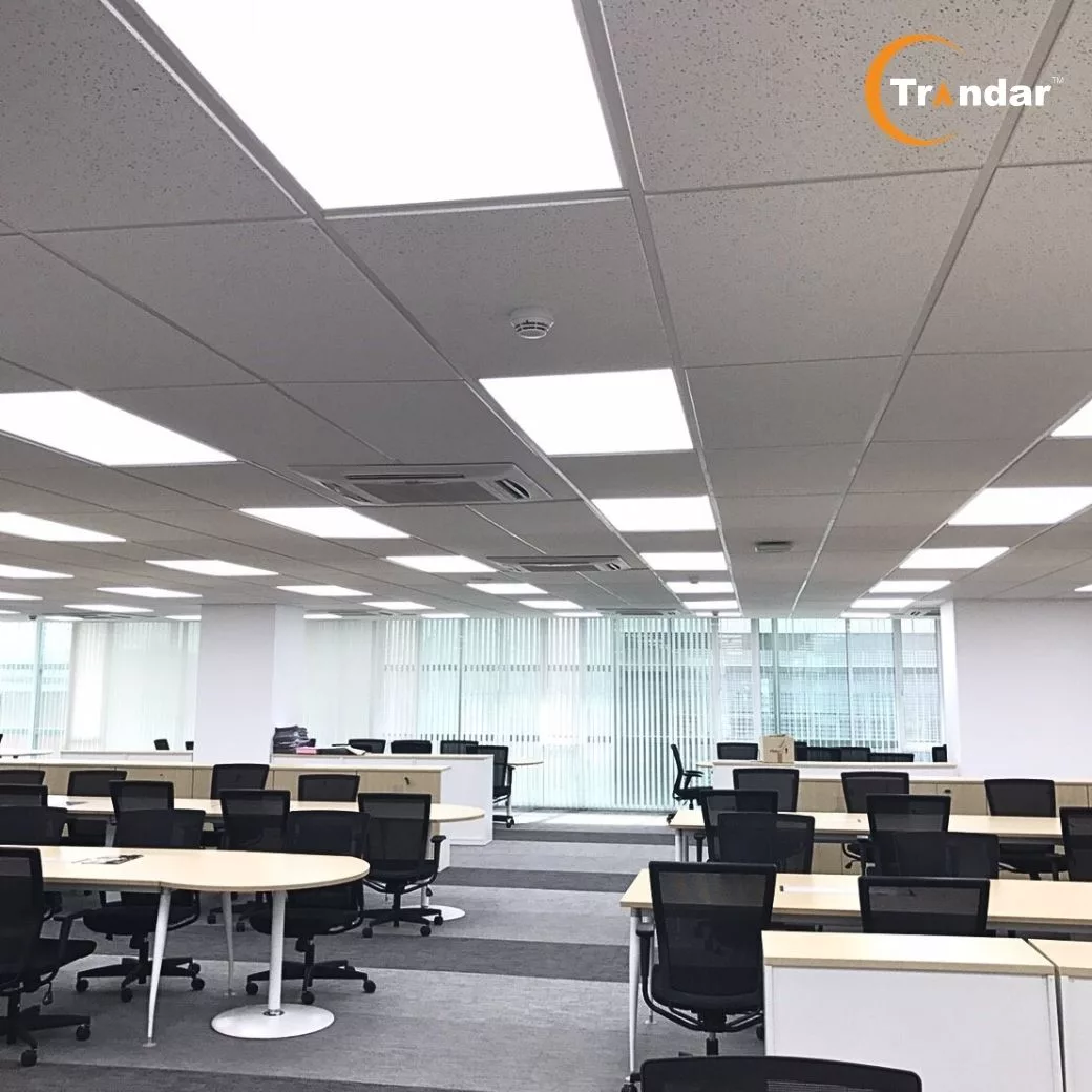 什么是“虫蛀纹”吊顶？为什么人们这样称呼它？Trandar AMF有哪些相关产品可选