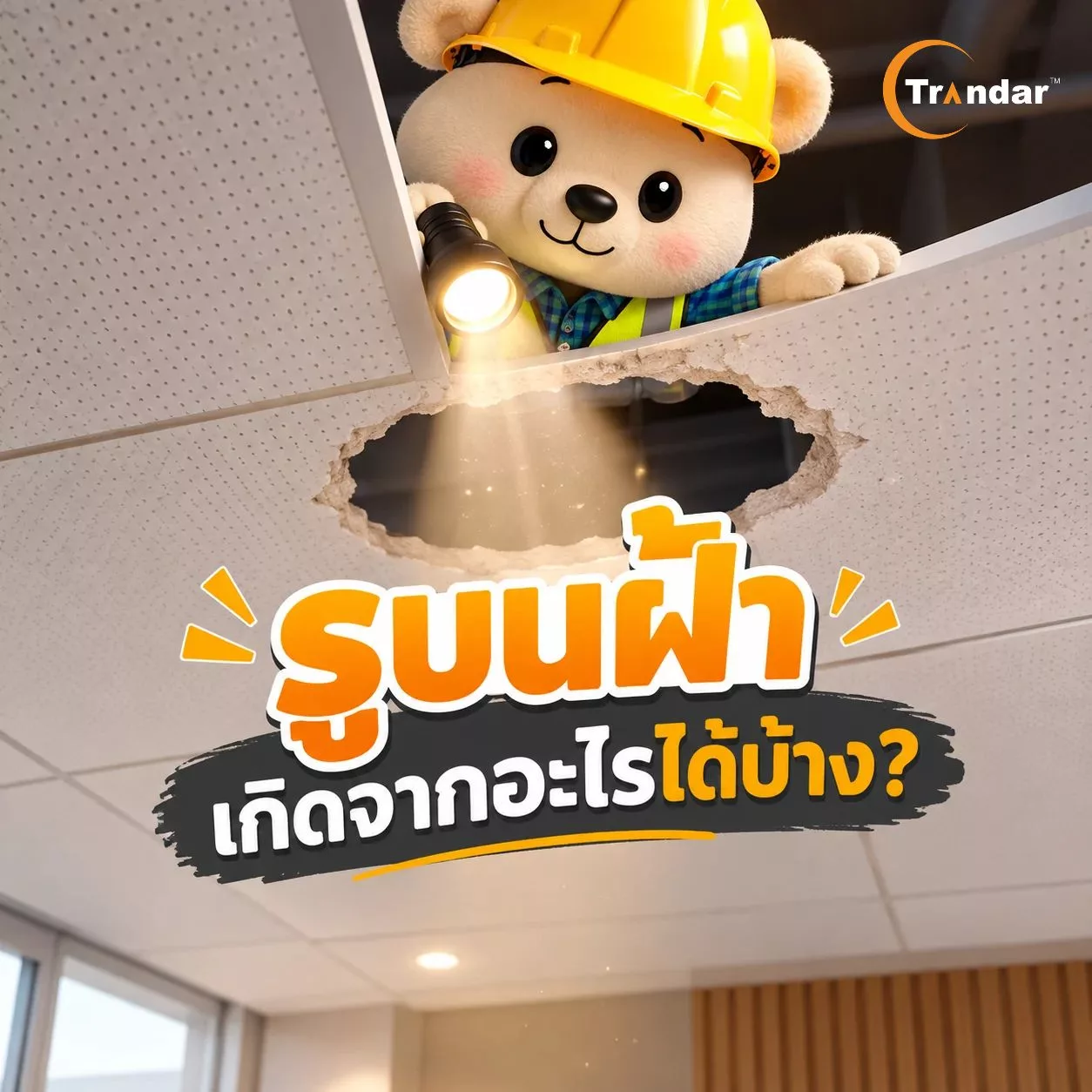 รูบนฝ้าเกิดจากอะไรได้บ้าง?