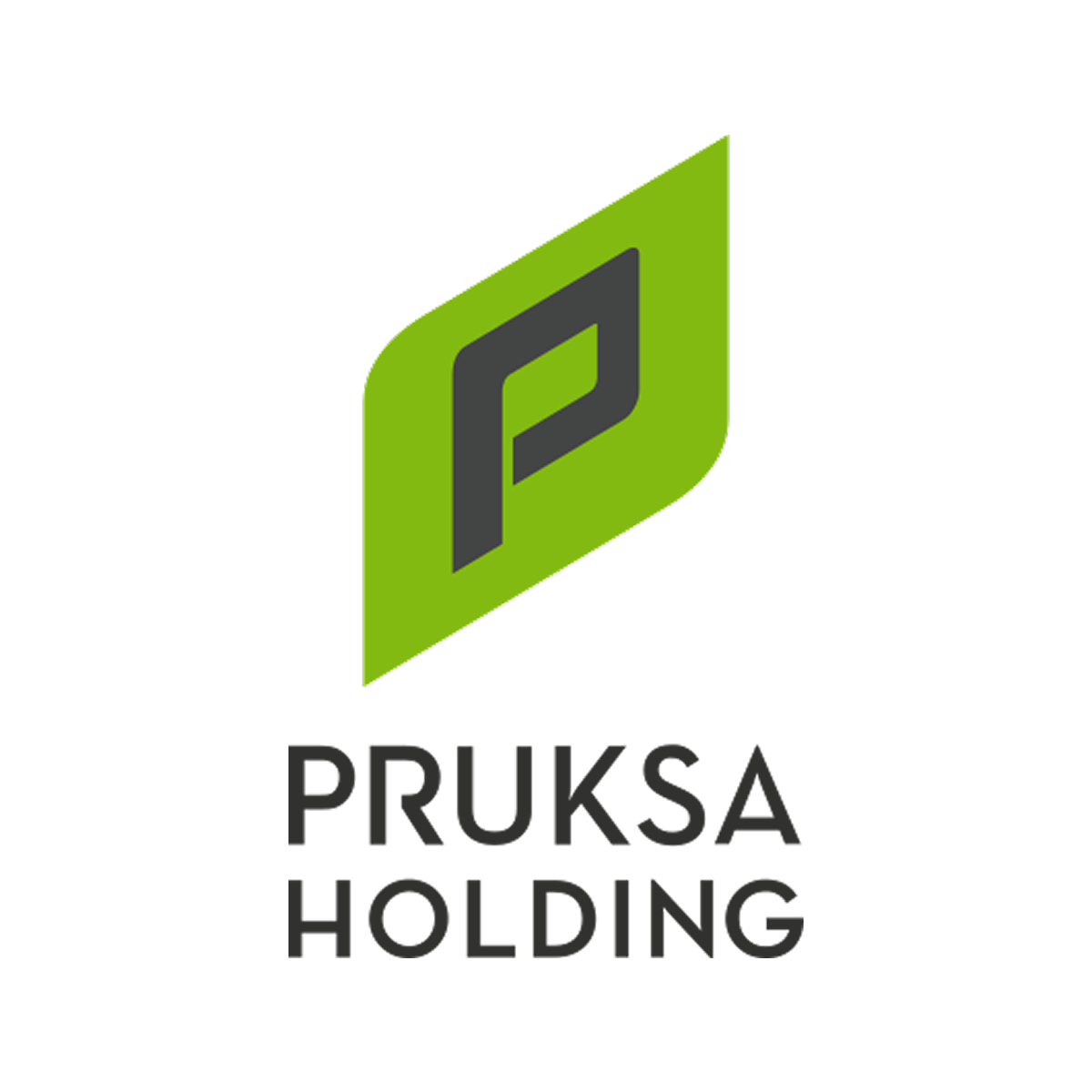 Praksa holding