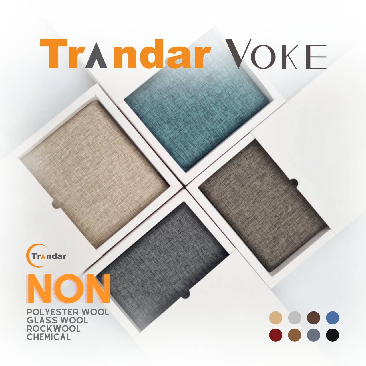 มาทำความรู้จัก ZIVANA VOKE